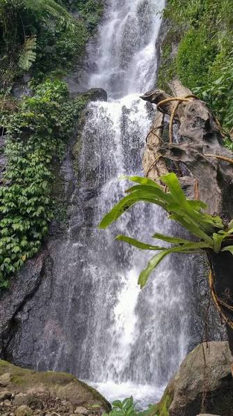 Curug Janari