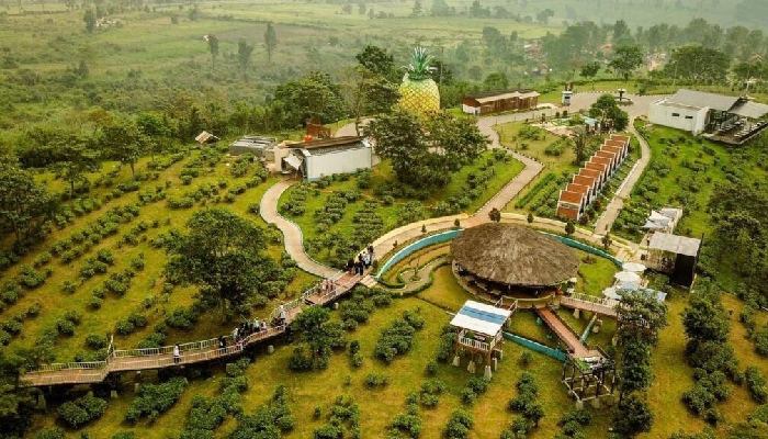 Desa Wisata Edukasi Cisaat